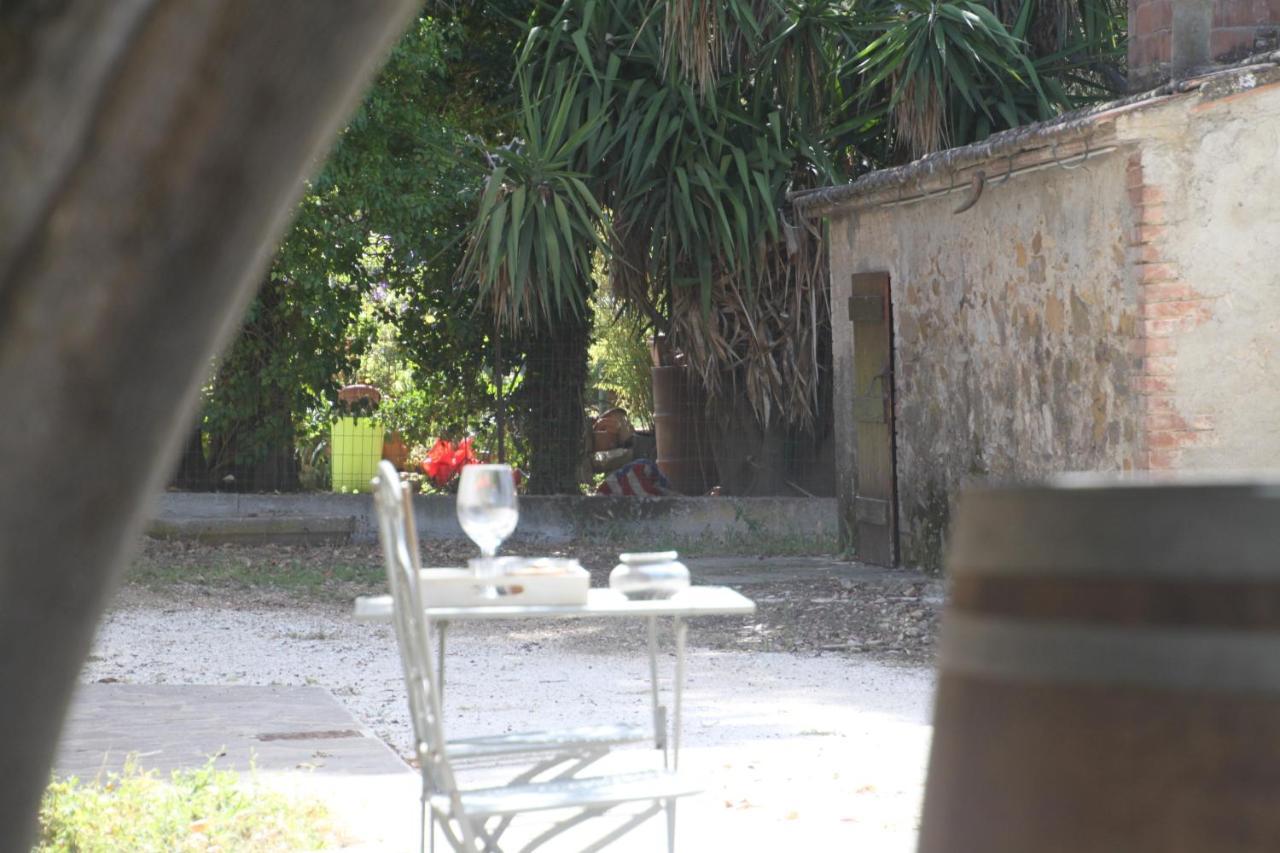 Agriturismo Il Broletto Suvereto Exteriér fotografie